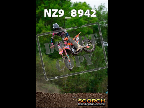 Experts-272