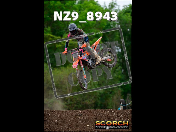 Experts-273