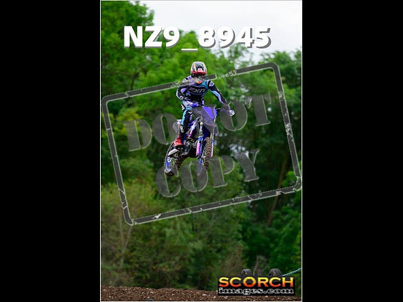 Experts-275