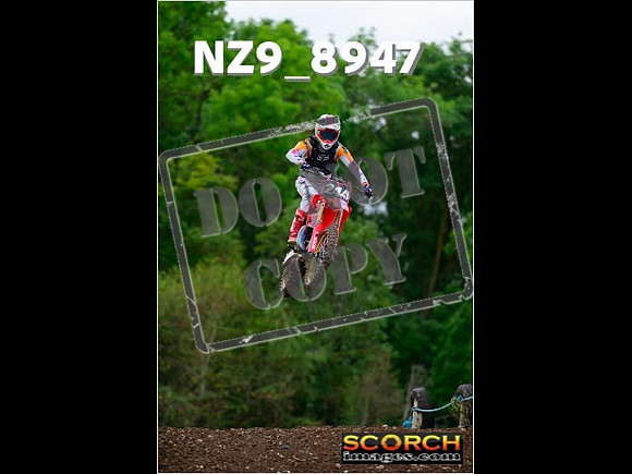 Experts-277