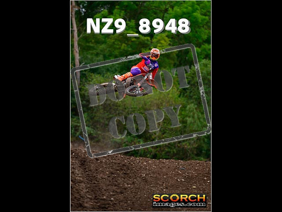 Experts-278