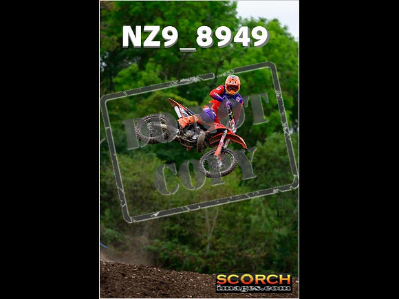 Experts-279