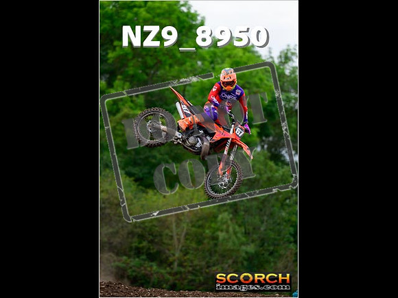 Experts-280