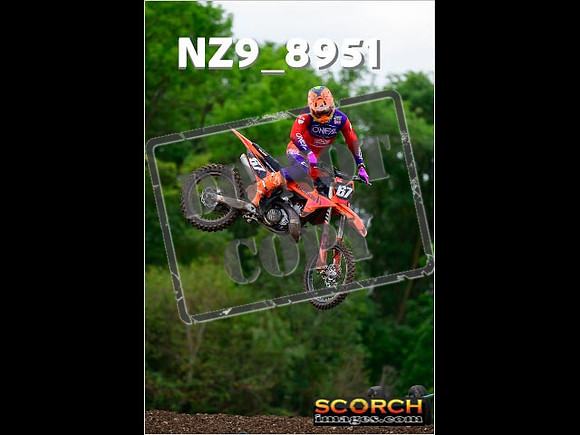 Experts-281