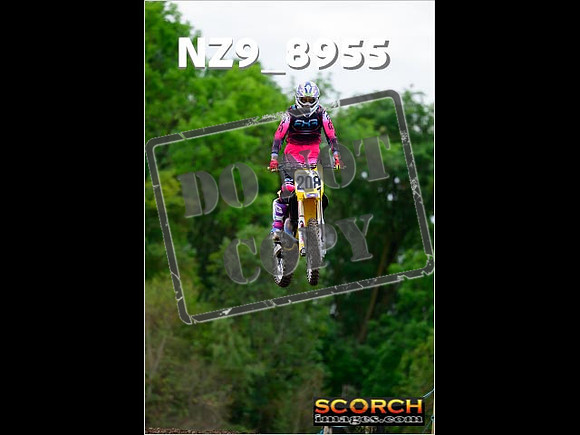 Experts-284