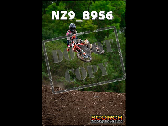 Experts-285