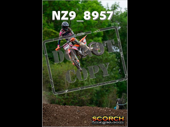 Experts-286