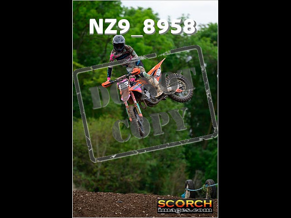 Experts-287