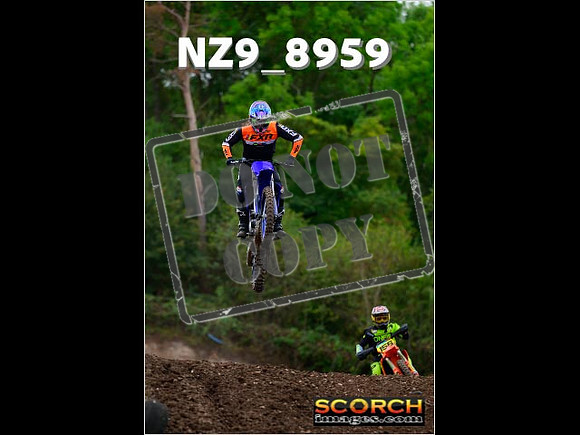 Experts-288