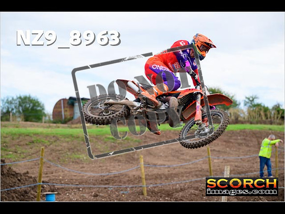 Experts-291