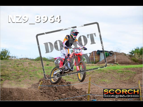 Experts-292
