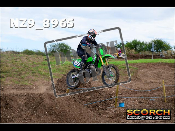 Experts-293