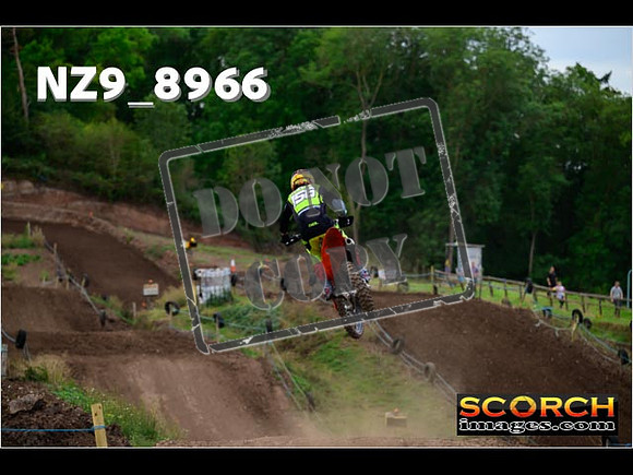 Experts-294