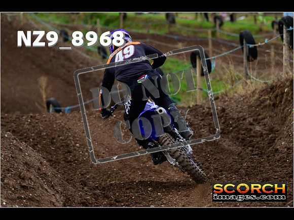 Experts-296