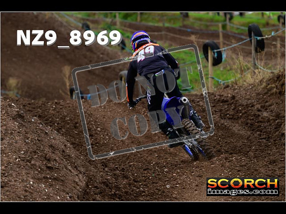 Experts-297