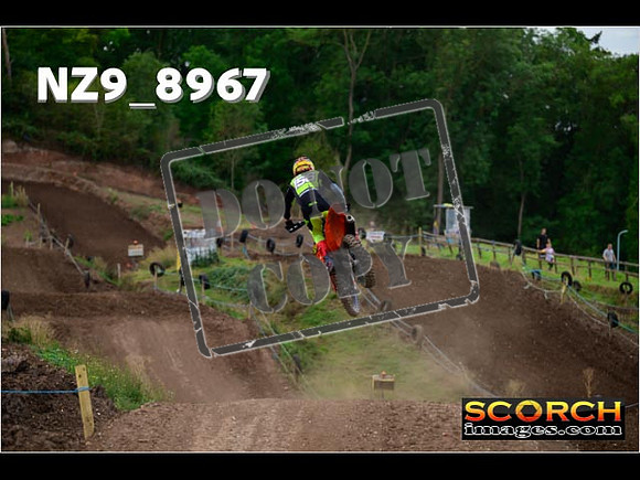 Experts-295