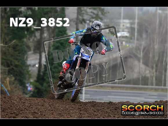 Experts-047