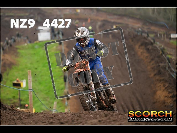 Experts-269