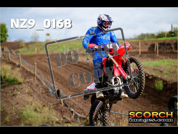 Novice-119