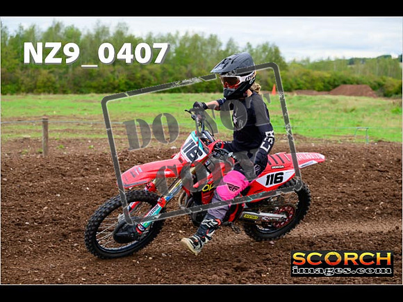 Novice-137