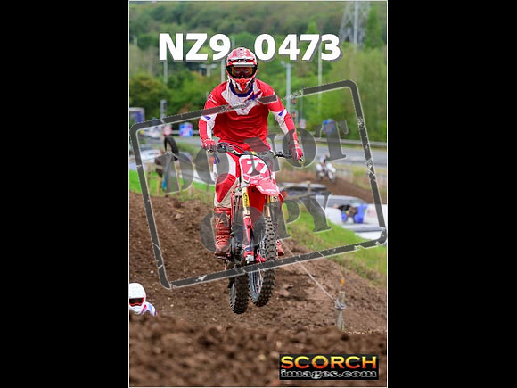 Novice-202