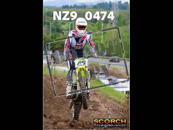 Novice-203