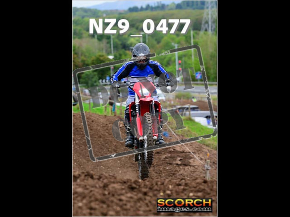 Novice-206