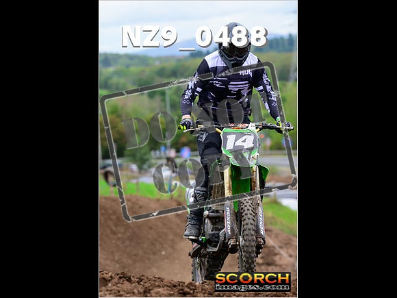 Novice-217