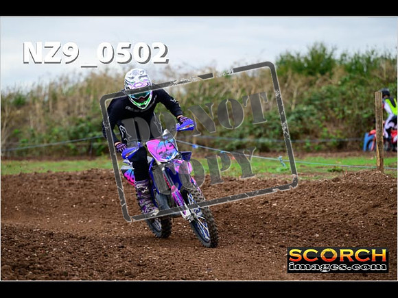 Novice-231