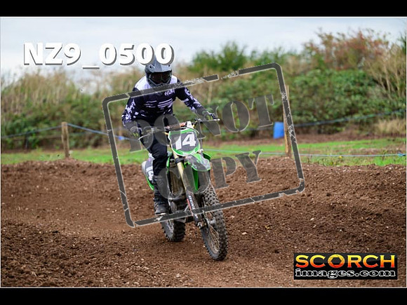 Novice-229