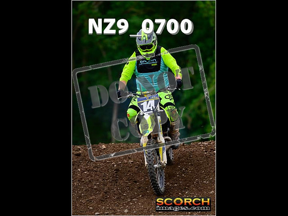 Novice-239
