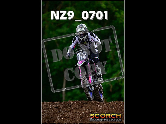 Novice-240