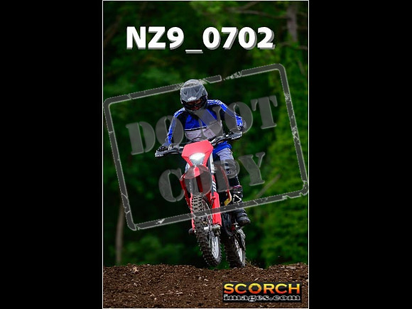 Novice-241