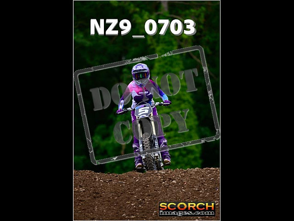 Novice-242
