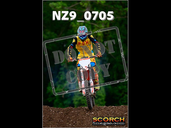 Novice-244