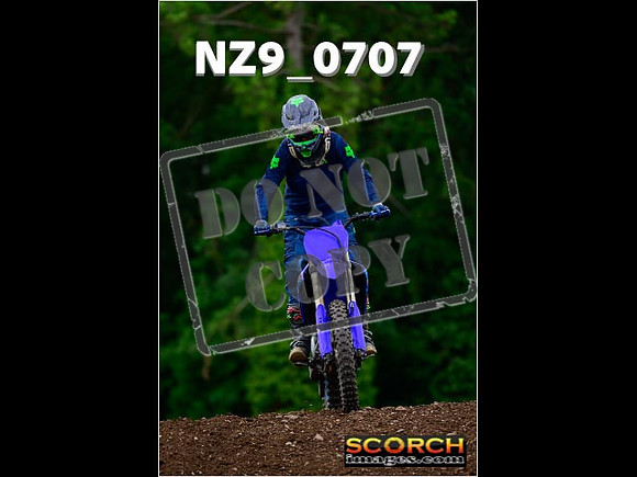 Novice-246