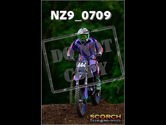 Novice-248