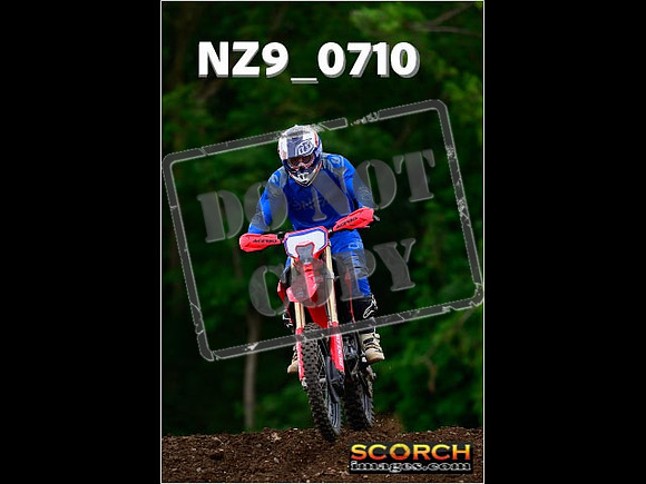 Novice-249