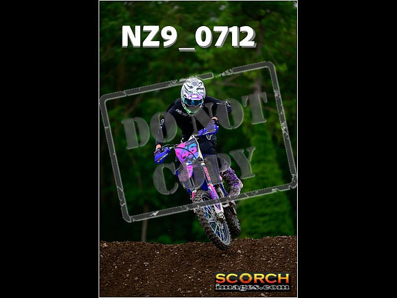 Novice-251