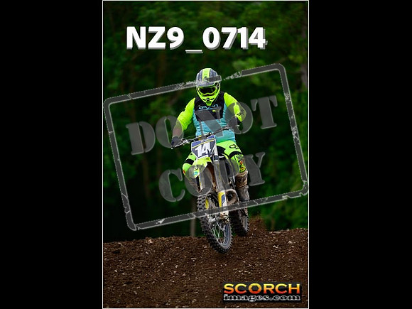 Novice-253