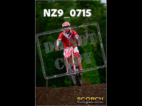 Novice-254