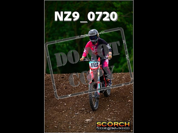 Novice-259