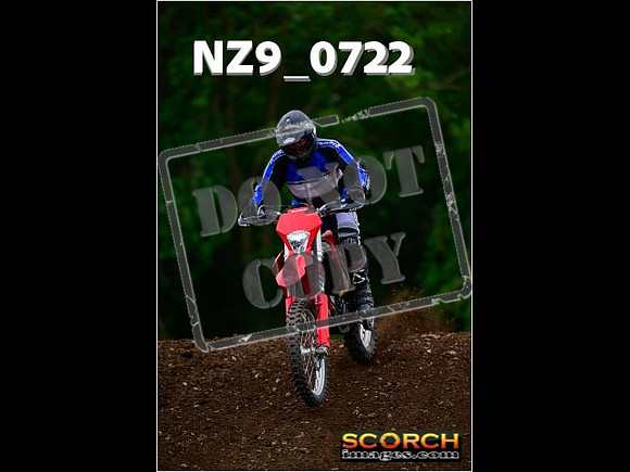 Novice-261