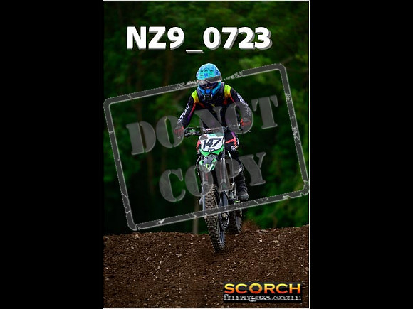 Novice-262