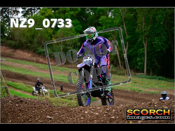 Novice-272