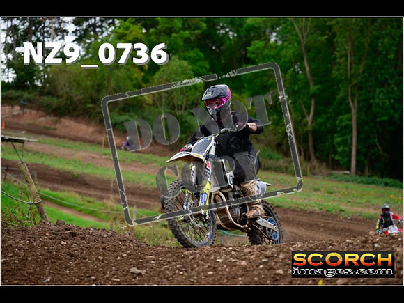 Novice-274