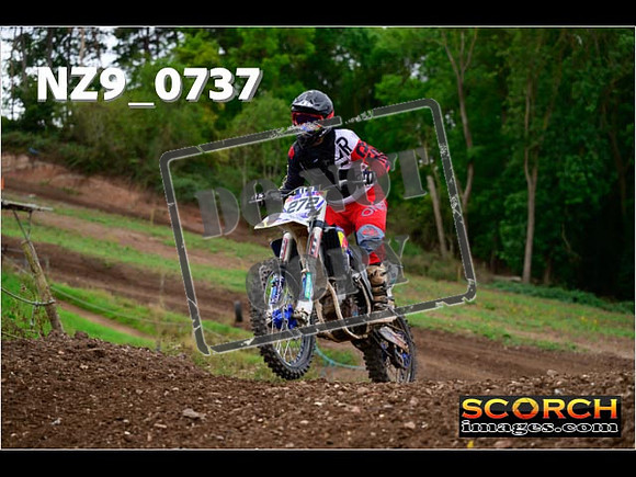 Novice-275