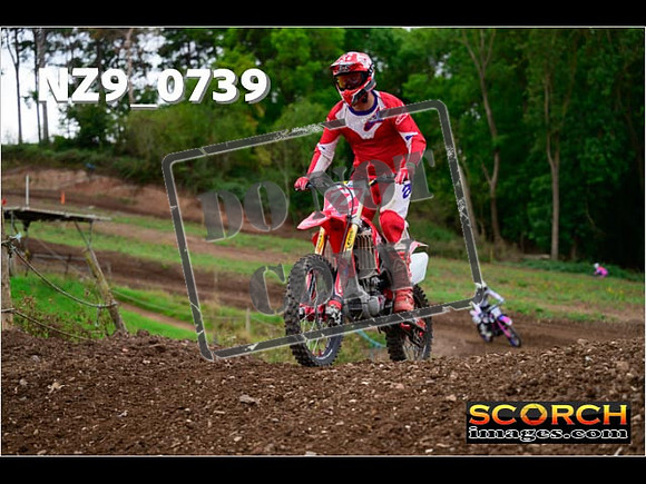 Novice-277