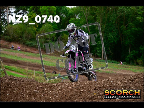 Novice-278
