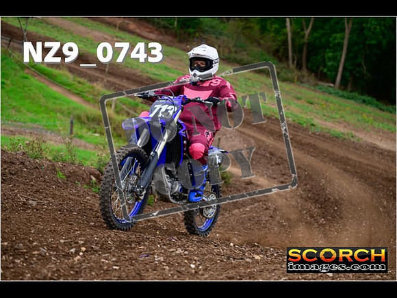 Novice-281